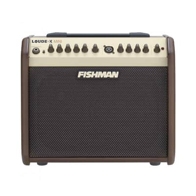 Fishman LOUDBOX MINI 60W Acoustic Guitar Combo Amplifier w/ Bluetooth - DEMO image 1