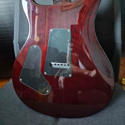 PRS SE Custom 24 2014 Korea image 2