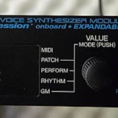 Roland JV-1010 64-Voice Synthesizer Module - Black image 1