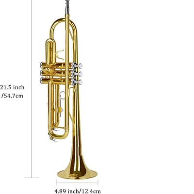 Bb Trumpet Standard Trumpet Set with Carrying Case,Gloves, 7C Mouthpiece and Cleaning Kit (Gold) image 2