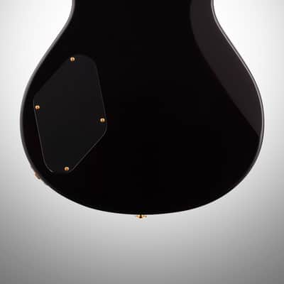 PRS Paul Reed Smith Mark Tremonti 10-Top Electric Guitar (with Case) image 6