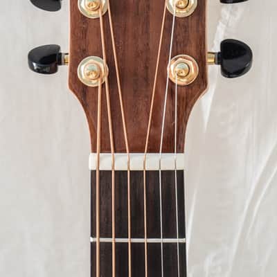 Traveler Redlands Acoustic/Electric Koa Gloss with Gig Bag image 10