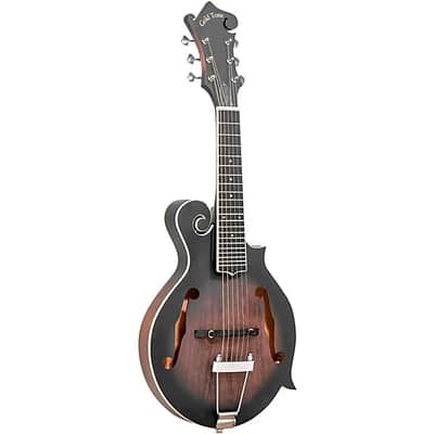 Gold Tone F-6 F-style 6-String Acoustic-Electric Mando-Guitar - Vintage Sunburst image 1