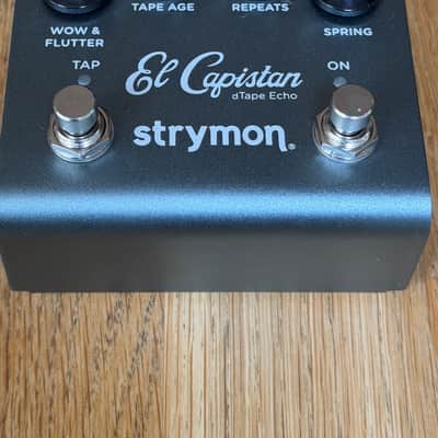 Strymon El Capistan V2 2022 - Present - Grey image 2