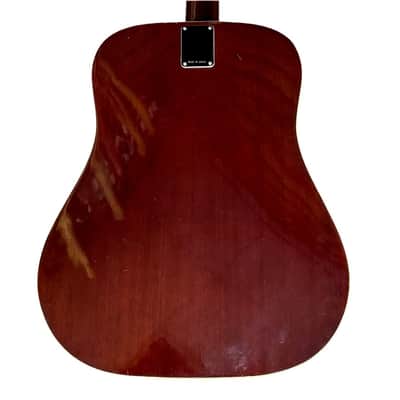 Angelica 6710 Acoustic Guitar image 5