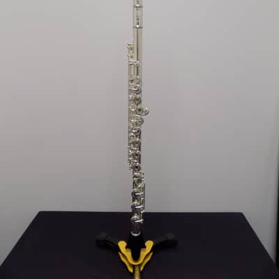 Haynes-Amadeus AF580 Flute w/ Case & Bag image 1