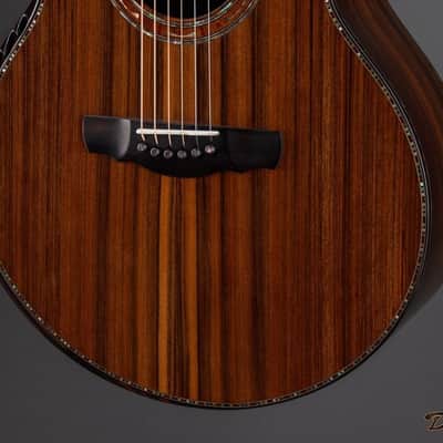 2019 Ryan Signature Series Nightingale, Brazilian Rosewood/Sinker Redwood image 10