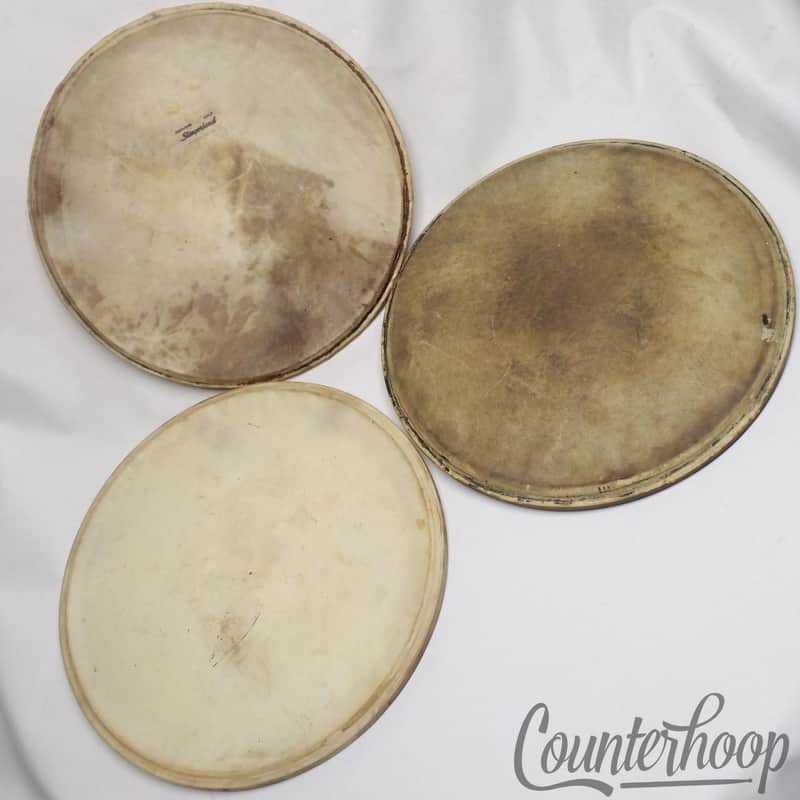 Slingerland 3x 15" Parade Calf Skin Tom/Snare Drum Side Batter Heads Vintage 50s image 1
