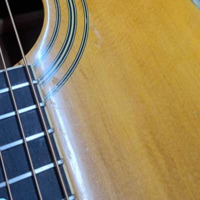 Ibanez Artwood AW Series Dreadnought 1996 - Natural image 8