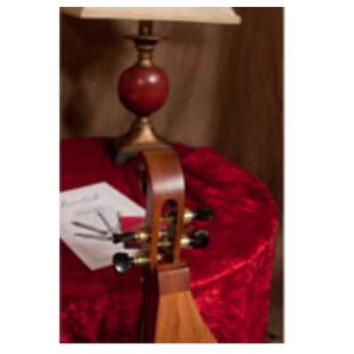Roosebeck DMCRT4 Mountain Dulcimer 4-String with Cutaway Upper Bout and F-Holes. New with Full Warranty! image 7