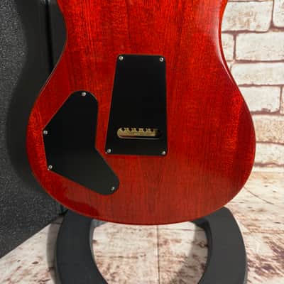 PRS DGT David Grissom Tremolo Signature 1 piece Top Birds - McCarty Sunburst image 11