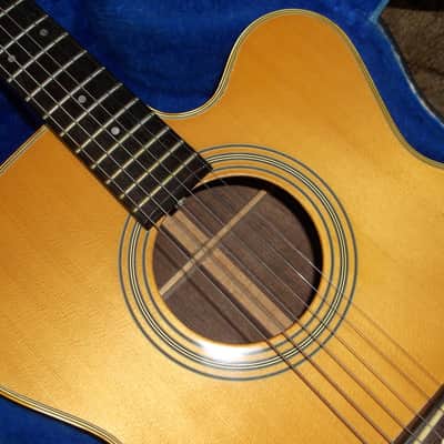 1977 Takemine F366S Excellent Condition image 2