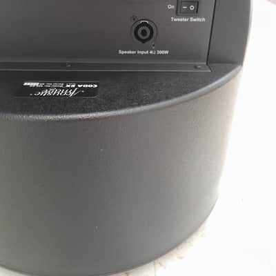 Acoustic Image S4 Coda Amp with Matching Cabinet 2017 for Upright Bass & Bass Guitar image 4