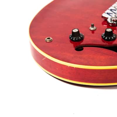 Epiphone Rivoil Owned by Mike Campbell image 16