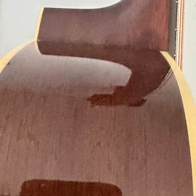Eastman E20D-MR-TC 2025 image 7