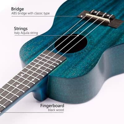 Gecko Ukuele Blue Green Iridescent Concert Starter Kit 23 Inch Mahogany Finish Professional Gecko Ukulele U23MBL 2023 - BlueGecko U23MBL 2023 - Blue Stain image 4