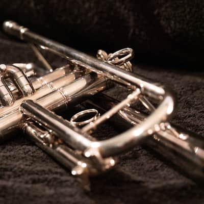 PHIL DRISCOLL MIGHTY HORN Bb trumpet by HOLTON (Limited Edition) image 9