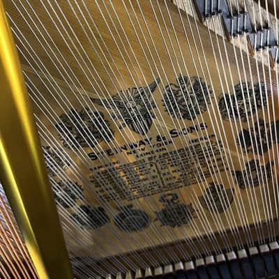 Legendary Craftsmanship: Steinway & Sons Model M Grand Piano image 12