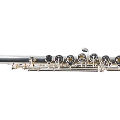 William S. Haynes Custom Silver Flute with B Foot, Offset G, C# Trill, Split E image 4