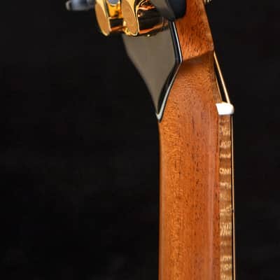 Baden - American Made TJ Baden Guitar Madagascar image 19