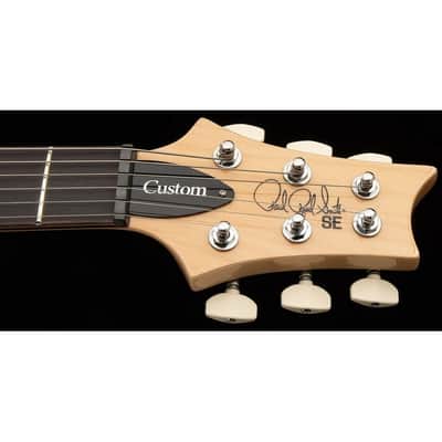 PRS SE Custom 24 – Slate Blue image 5