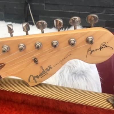 Fender Stratocaster Bonnie Raitt Signature 1995 - Desert sunset image 1