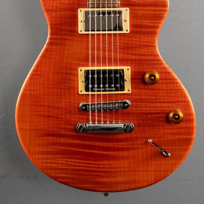 Terry McInturff Polaris Pro '99 image 2