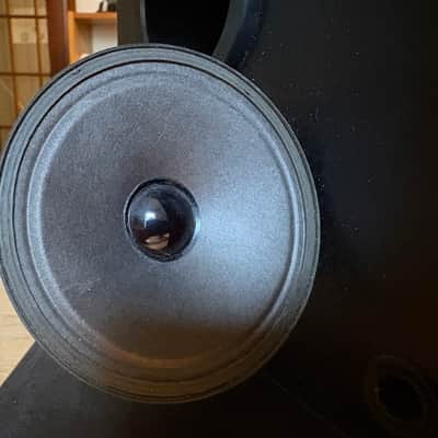 Bose 301 series II - refoamed woofers - Excellent image 9