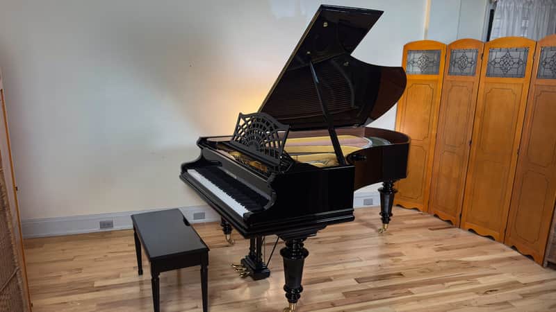Immagine Bechstein V 1903 - Black Polish - 1