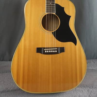 Pearl Folk Acoustic Guitar - Curly Maple - Japan Acoustic Guitar w/ Hard Case image 2