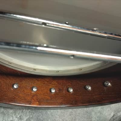 Gold Tone TS-250 4-String Flat Top Resonator Tenor Special Banjo image 8