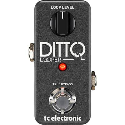 TC Electronic Ditto Looper Guitar Effects Pedal NEW - GRAY image 1