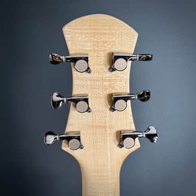 2025 Wald 17-inch Archtop - Brand New - Custom TRM Build Bild 10