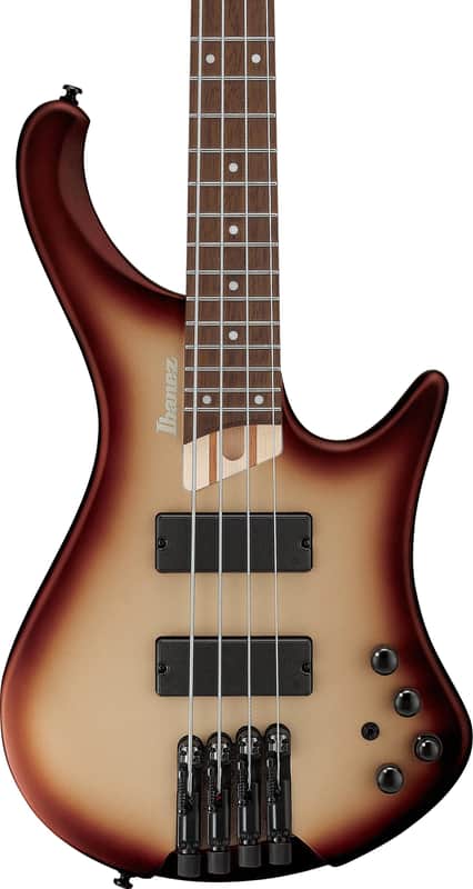 Ibanez EHB600 Headless 4-String Bass Guitar, Jatoba Fingerboard, Charred Champagne Burst Matte image 1