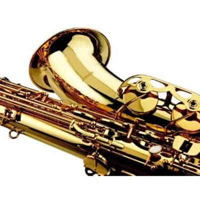 Zonda Alto Saxophone Outfit with Case ZAS201RA - Brass image 2