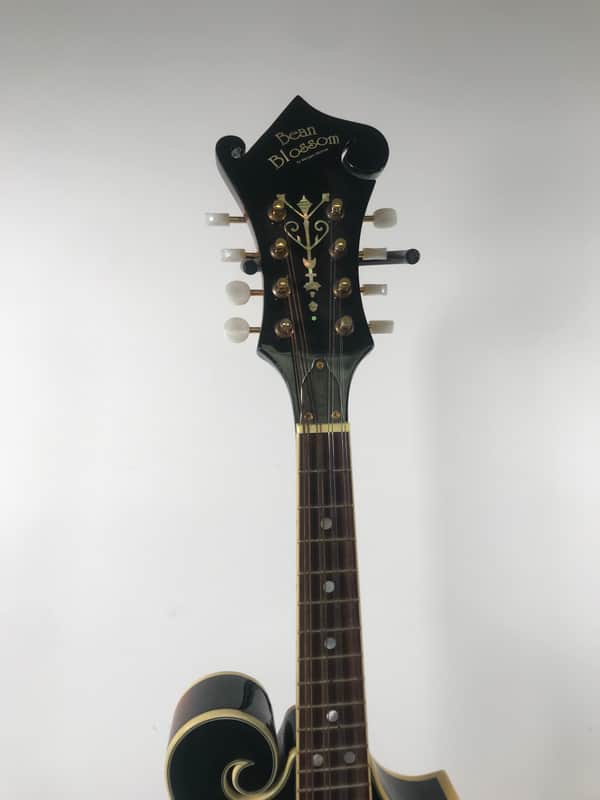 Bean Blossom Morgan Monroe Mandolin | Reverb