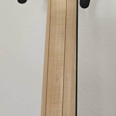 Alembic 2021 2021 image 3