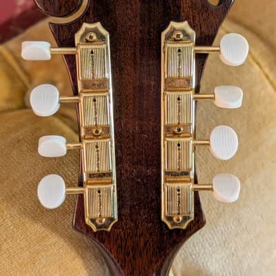 Gibson EM200 1963 - Sunburst image 10
