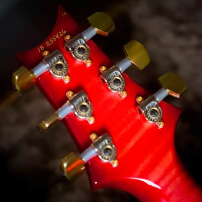 PRS Custom 24 Semi-Hollow Wood Library Bonnie Pink 10 Top image 16