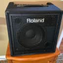 MINT! 2026 Roland KC-400 4- Channel 150-Watt 1x12". Unused