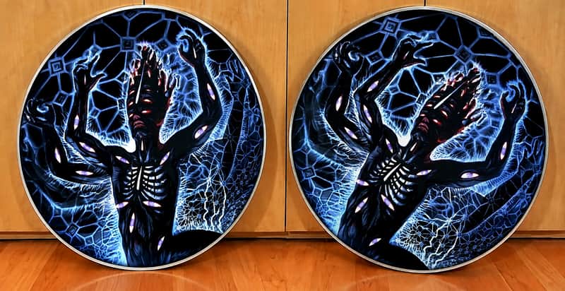 Tool, PAIR of The Great Turning 22" Bass Drumheads, Danny Carey image 1