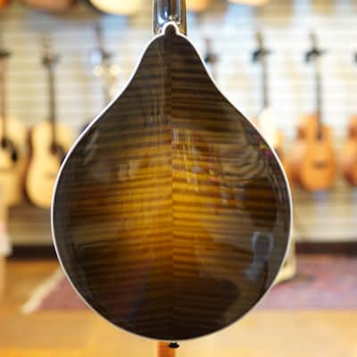 Bourgeois M5A A-Style Mandolin Sunburst w/Hard Case image 3
