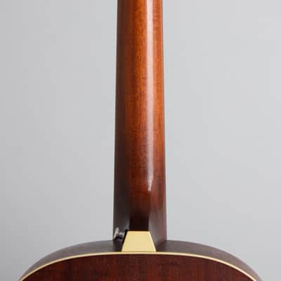 Iris  DF Flat Top Acoustic Guitar, ser. #268, black tolex hard shell case. image 9