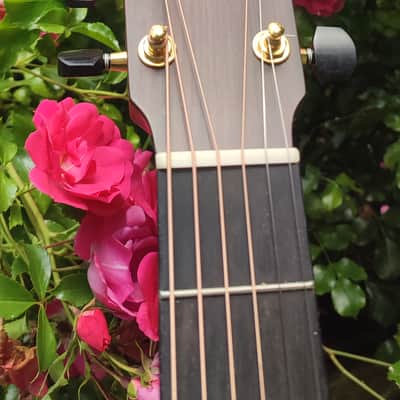 Lowden S23 2023 - Matt/satin cedar walnut image 5