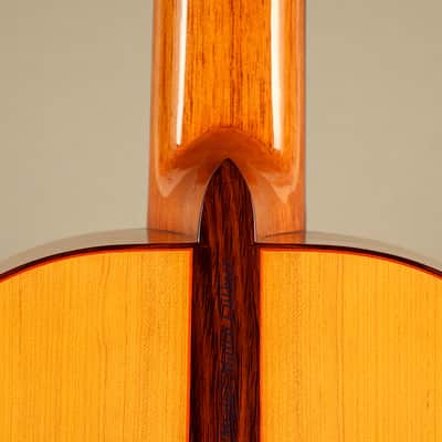 Flamenco Concert Guitar Ayamonte Model "La Canastera" - "The Basket Maker" image 14