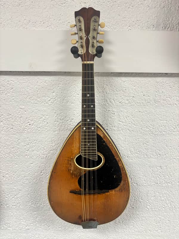 Weymann mandolin (mandolute) style 30 app. 1913 image 1