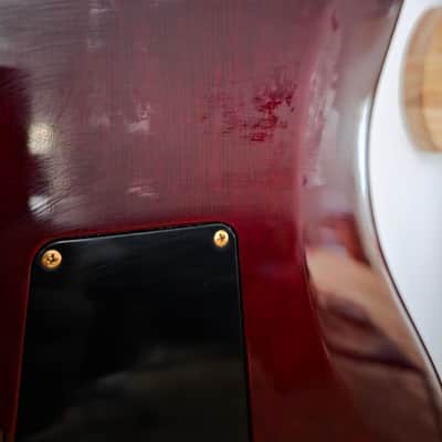 PRS 25th Anniversary Custom 24 2010 - Smoked Amber image 7