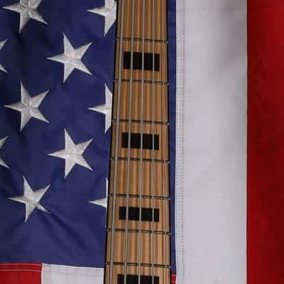 Jackson X Series David Ellefson Signature Kelly Bird V - Blue Stripe image 3