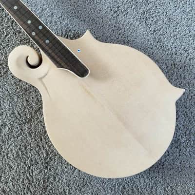 8 String Mandolin, Spruce Body, Maple Neck, Rosewood Fingerboard image 1