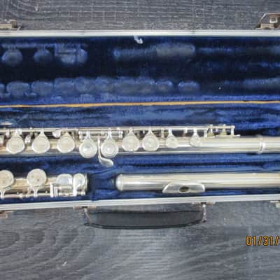 Borg brand Flute with case image 1